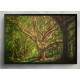 Quadro Decorativo Pintura de �rvore Grande