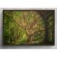 Quadro Decorativo Pintura de �rvore Grande