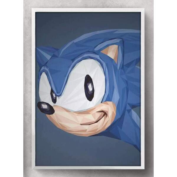 Quadro Decorativo Sonic