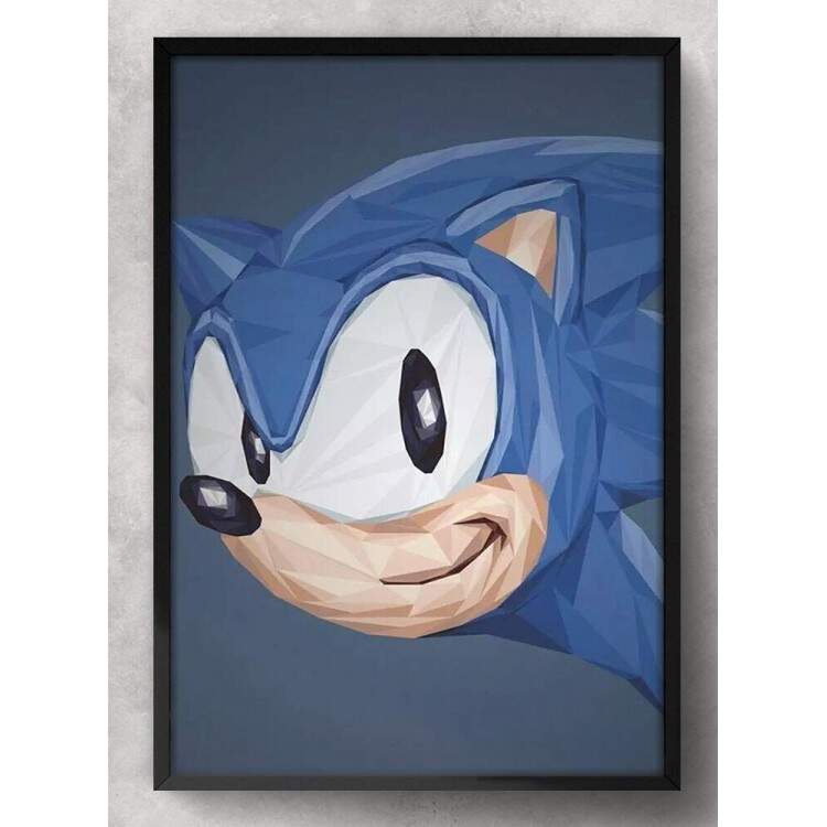 Quadro Decorativo Sonic