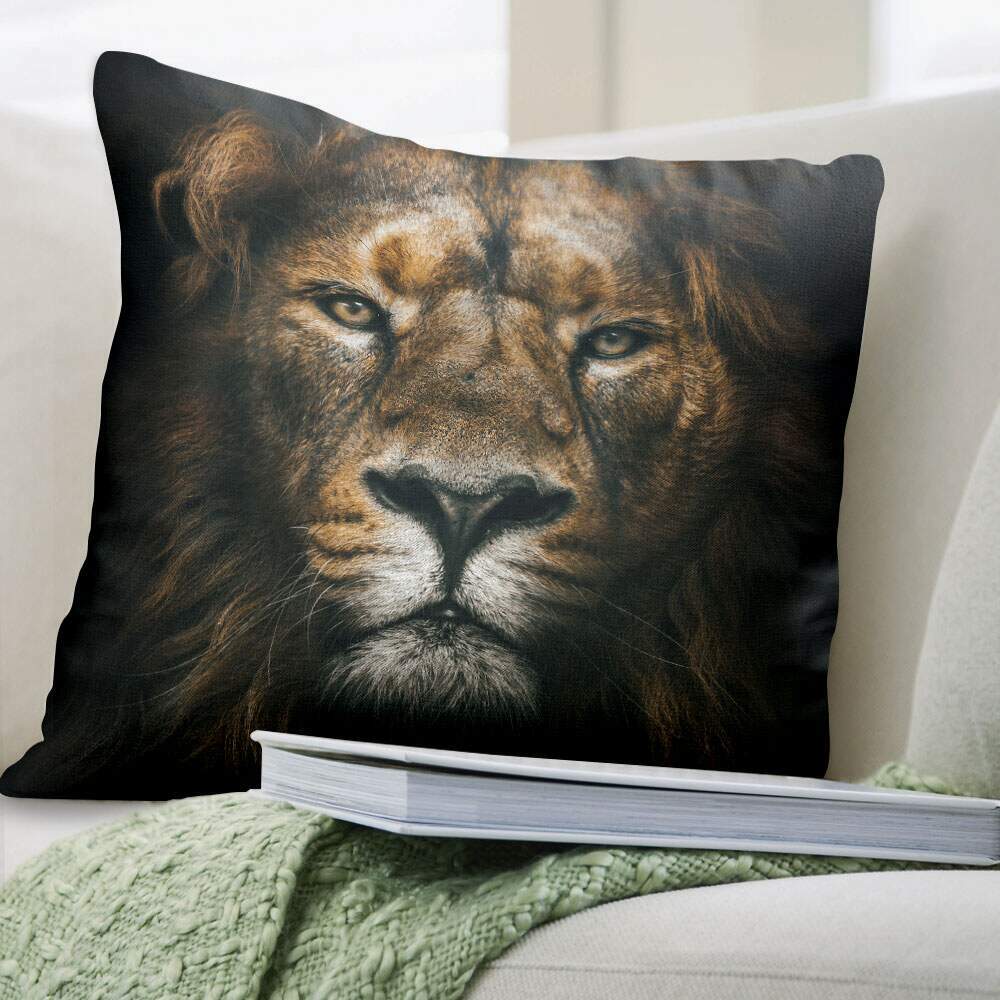 Almofada Decorativa Le�o de Jud�