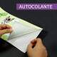 Faixas Decorativas Adesivo Border Beb� Saf�ri Com Nome
