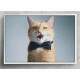 Quadro Decorativo Gato de Gravata Azul