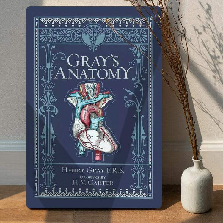 Placa Decorativa Grey\'s Anatomy