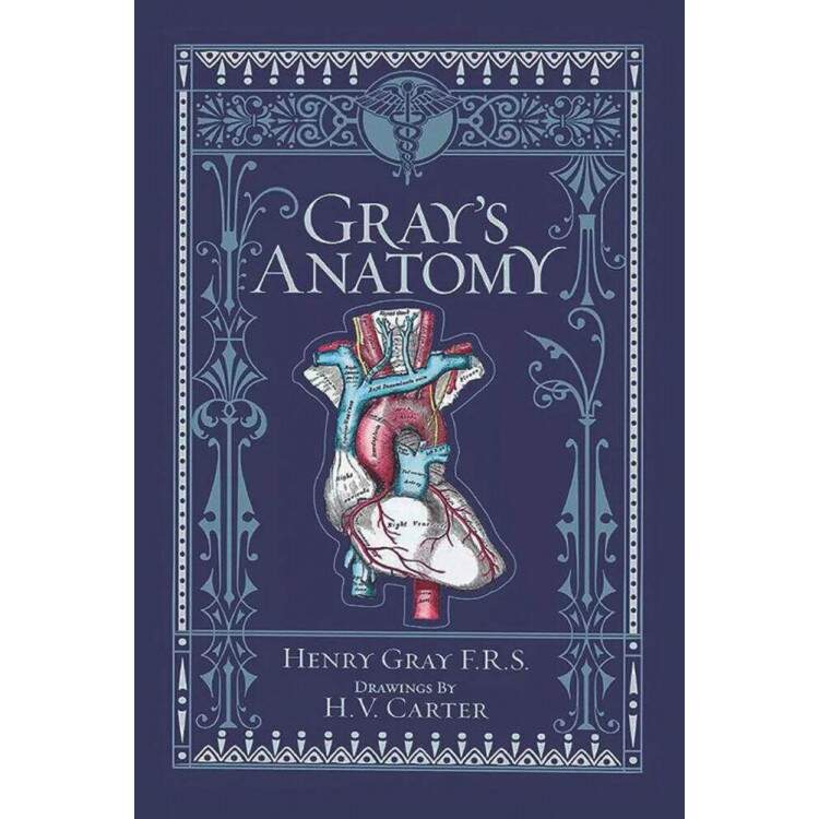 Placa Decorativa Grey\'s Anatomy