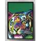 Quadro Tigre Colorido
