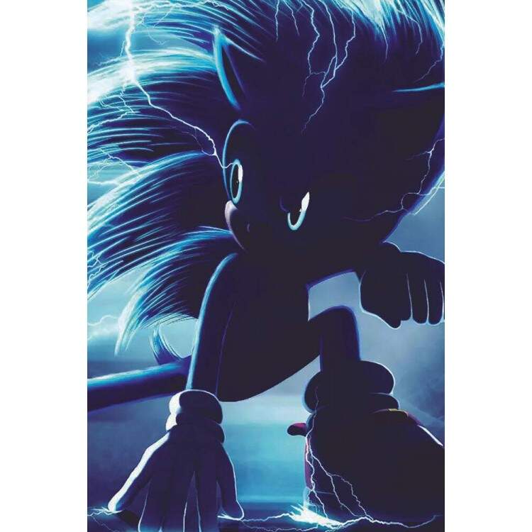 Placa Decorativa Sonic
