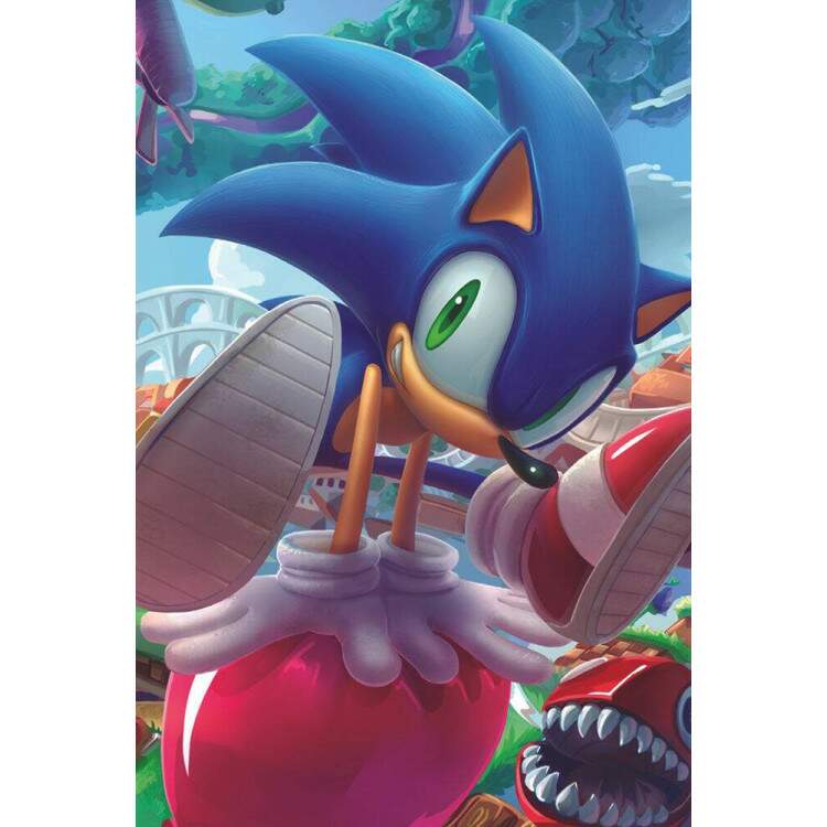 Placa Decorativa Sonic 25