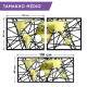 Quadro Decorativo Espelhado Mapa-M�ndi Abstrato