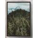 Quadro Decorativo Floresta e Montanhas