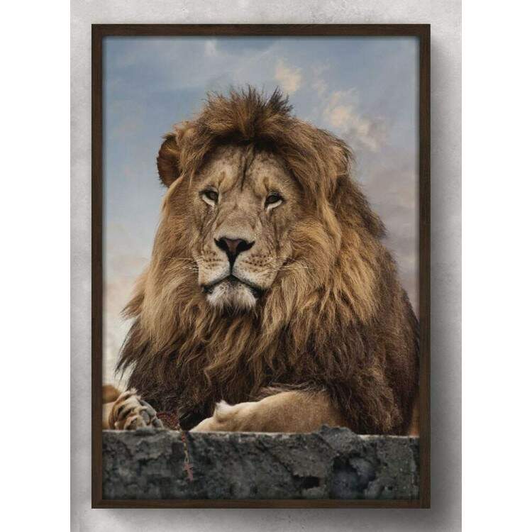 Quadro Decorativo Leo de Jud Repousando