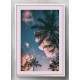 Quadro Decorativo Coqueiros e Nuvens Rosas