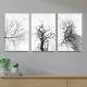 Kit 3 Quadros Decorativos Abstrato Natureza Morta Preto e Branco