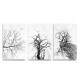 Kit 3 Quadros Decorativos Abstrato Natureza Morta Preto e Branco