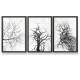 Kit 3 Quadros Decorativos Abstrato Natureza Morta Preto e Branco