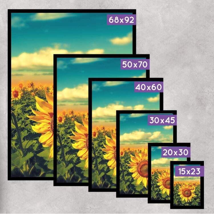 Quadro Decorativo Plantao de Girassol