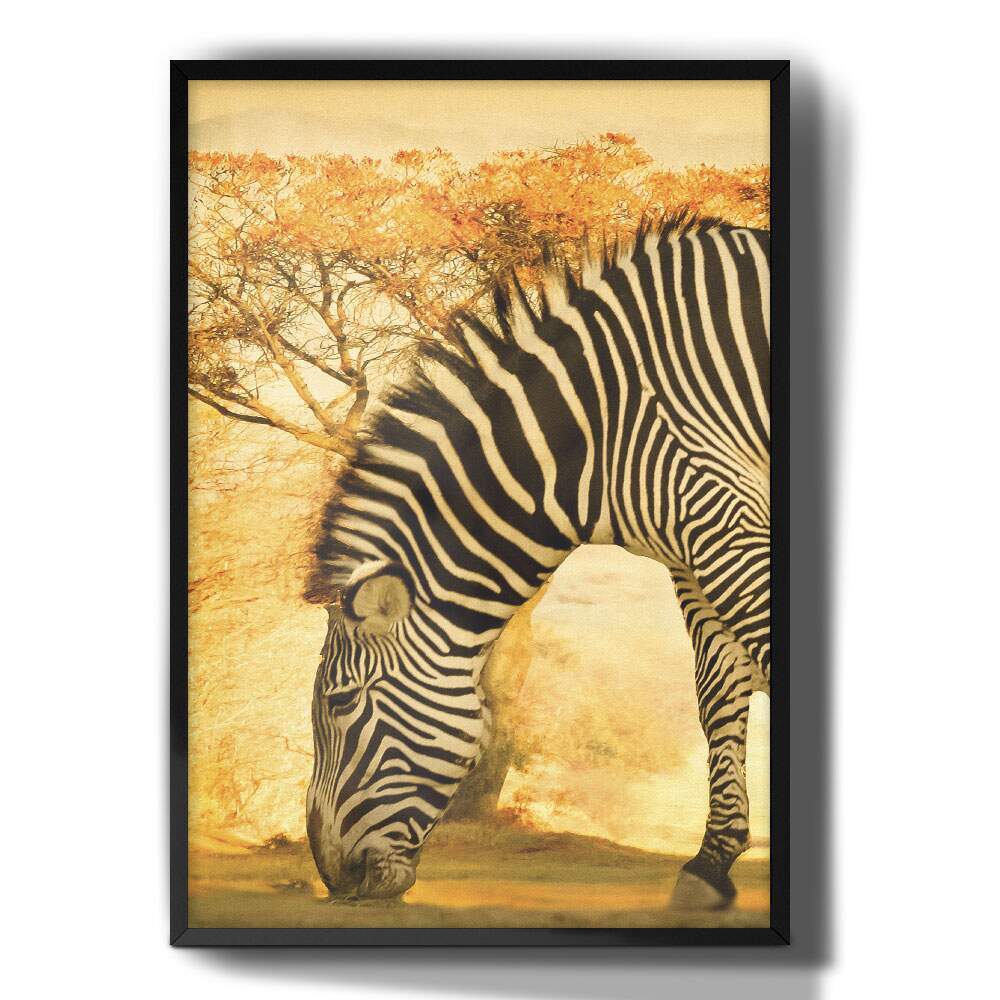 Quadro Decorativo Pintura Zebra Africana