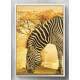 Quadro Decorativo Pintura Zebra Africana