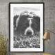 Quadro Decorativo Cachorro Deitado Preto e Branco