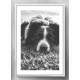 Quadro Decorativo Cachorro Deitado Preto e Branco