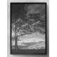 Quadro Decorativo �rvore Preto e Branco