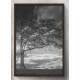 Quadro Decorativo �rvore Preto e Branco