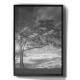 Quadro Decorativo �rvore Preto e Branco
