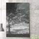 Quadro Decorativo �rvore Preto e Branco