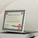 Adesivo Para Notebook Certificado Umbrella Corps Resident Evil