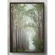 Quadro Decorativo Arvore Estrada