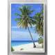 Quadro Decorativo Paisagem Praia e Coqueiros