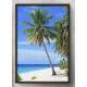 Quadro Decorativo Paisagem Praia e Coqueiros