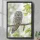 Quadro Decorativo Coruja Branca