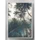 Quadro Decorativo Vista de Baixo Coqueiros