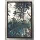 Quadro Decorativo Vista de Baixo Coqueiros