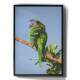 Quadro Decorativo Papagaio Verde e Colorido