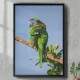 Quadro Decorativo Papagaio Verde e Colorido