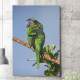 Quadro Decorativo Papagaio Verde e Colorido