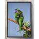 Quadro Decorativo Papagaio Verde e Colorido