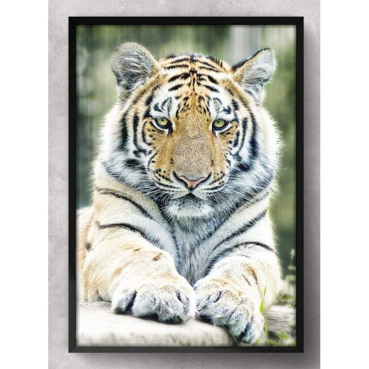 Quadro Decorativo Tigre Deitado Em Pedra