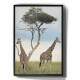 Quadro Decorativo Girafas �frica
