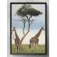 Quadro Decorativo Girafas �frica