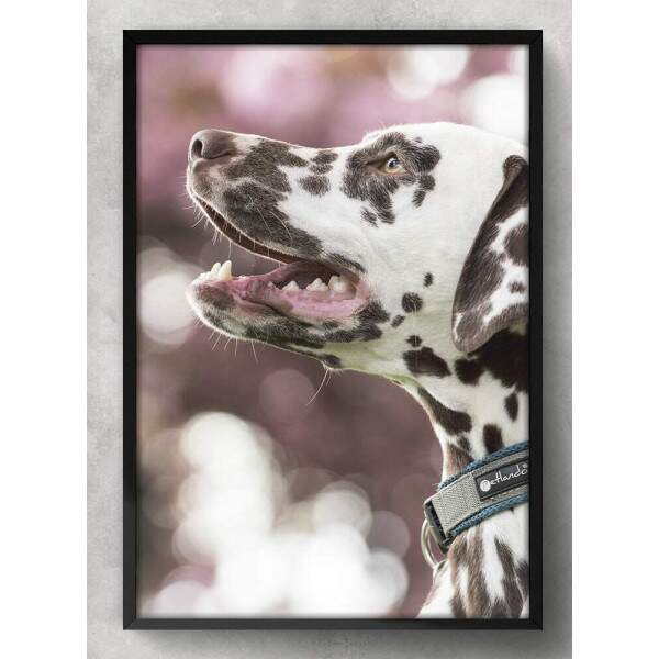 Quadro Decorativo Cachorro Dlmata