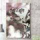 Quadro Decorativo Cachorro D�lmata