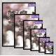 Quadro Decorativo Cachorro D�lmata