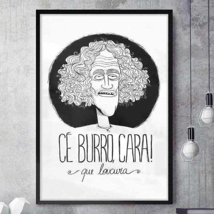 Quadro Decorativo C Burro Cara Que Loucura