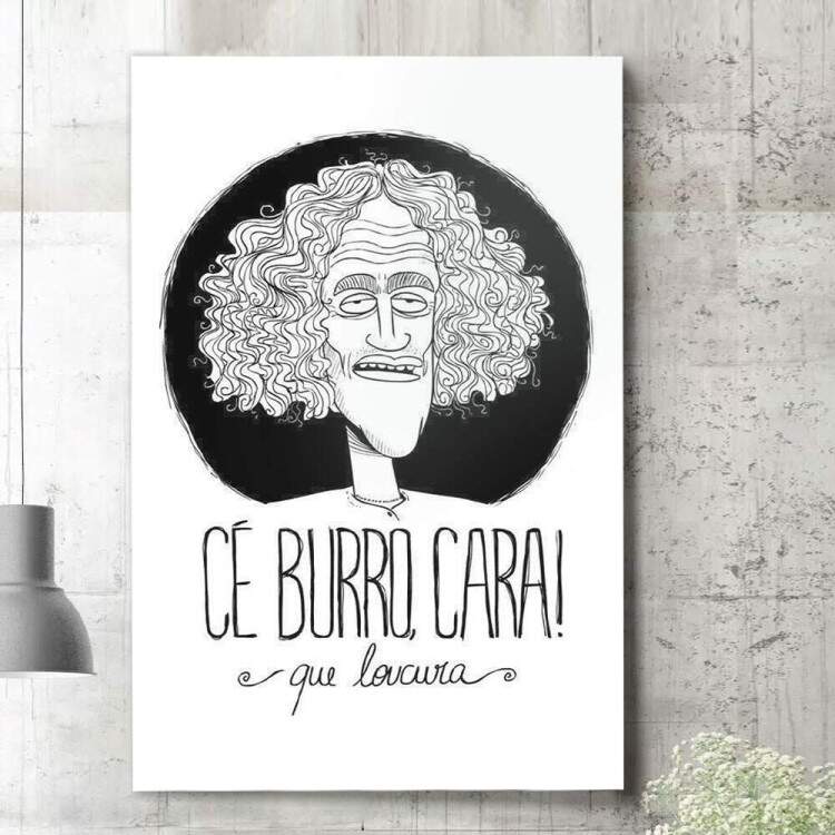 Quadro Decorativo C Burro Cara Que Loucura