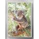 Quadro Decorativo Coala na �rvore 02