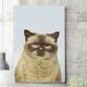 Quadro Decorativo Gato Bege e Fundo Azul Claro