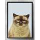 Quadro Decorativo Gato Bege e Fundo Azul Claro